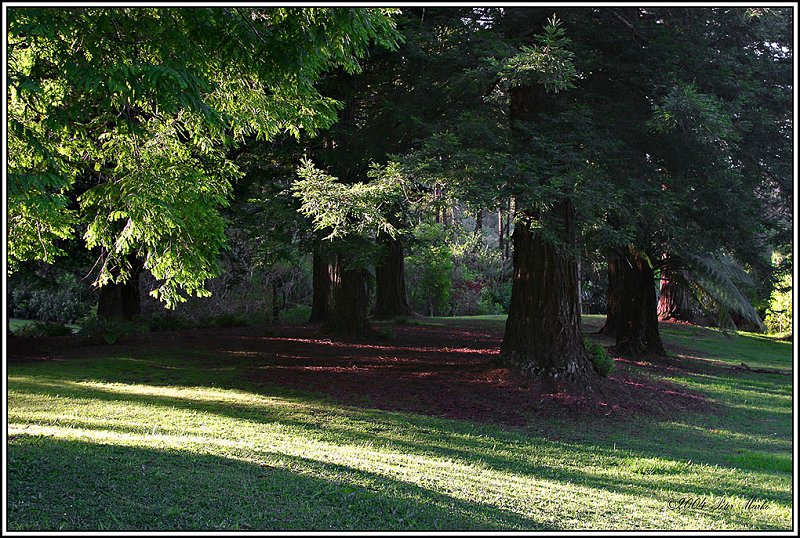 213_1349.jpg - Lake Mangamahoe, Taranaki, New Zealand