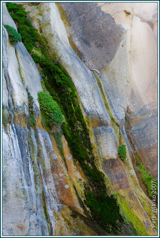 WV8X0185.jpg - Tunnel Beach, Otago Peninsula, New Zealand