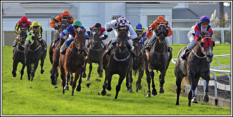 WV8X1026.jpg - Horse Racing, New Plymouth, New Zealand