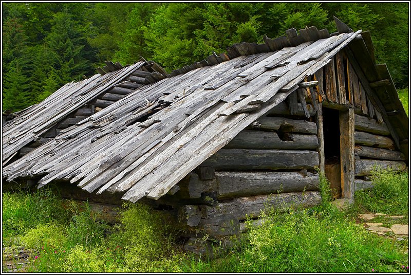 WV8X2410.jpg - Vratna Dolina, Slovakia