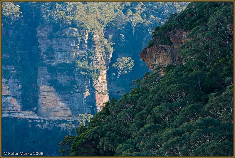 WV8X8846.jpg - Cliffs and trees, Blue Mountains, Australia.