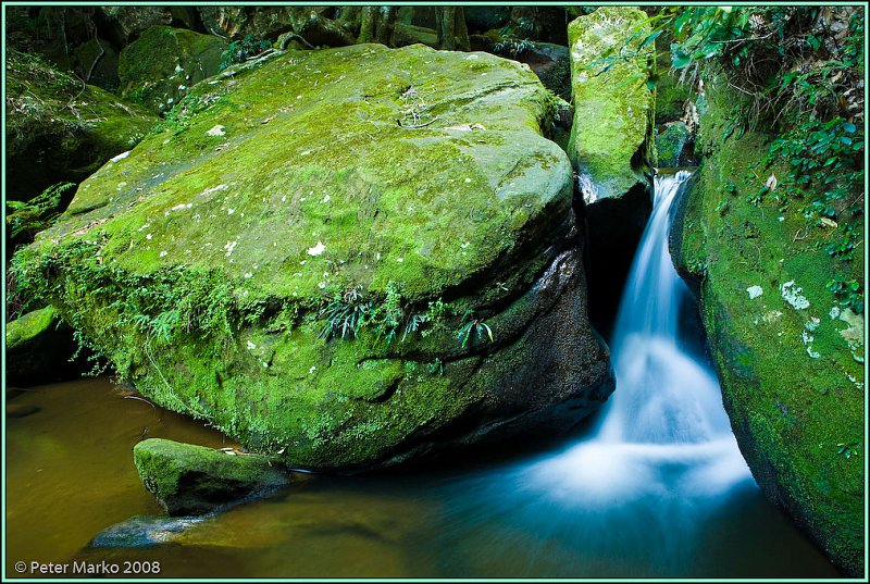 WV8X8895.jpg - Blue Mountains, Australia.