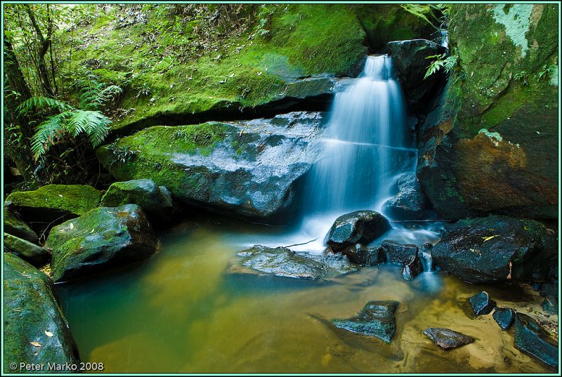 WV8X8903.jpg - Waterfall and moss, Blue Mountains, Australia.