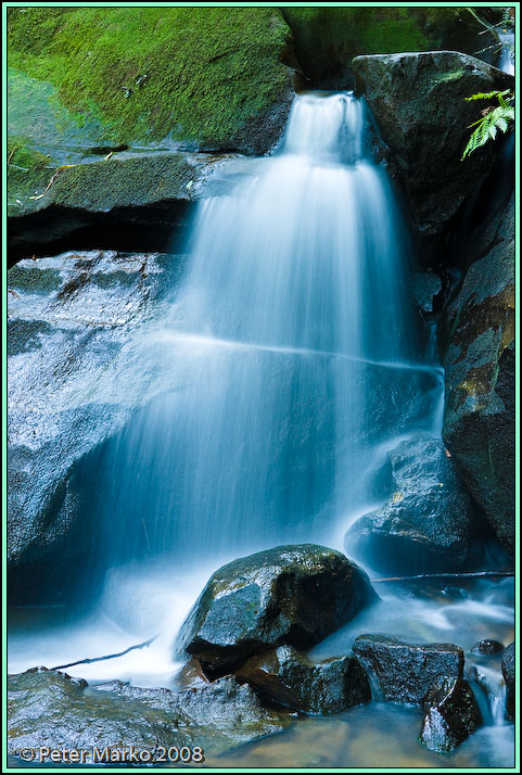 WV8X8905.jpg - Waterfall and moss, Blue Mountains, Australia.