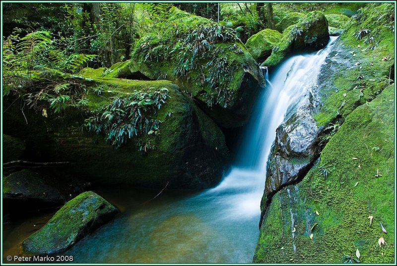 WV8X8908.jpg - Waterfall and moss, Blue Mountains, Australia.