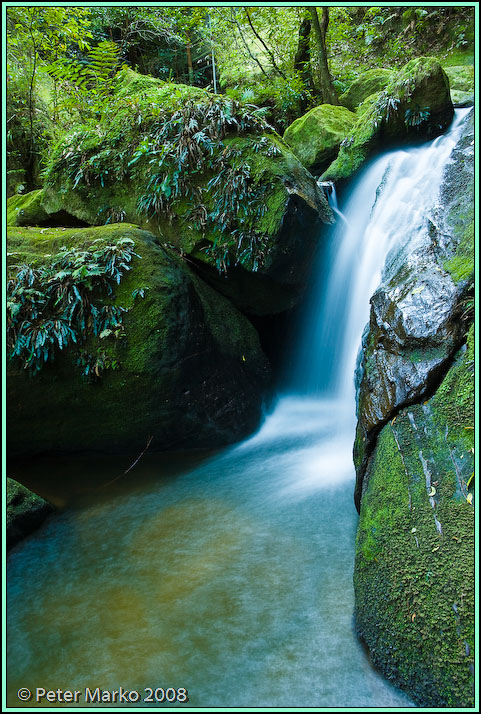 WV8X8911.jpg - Waterfall and moss, Blue Mountains, Australia.