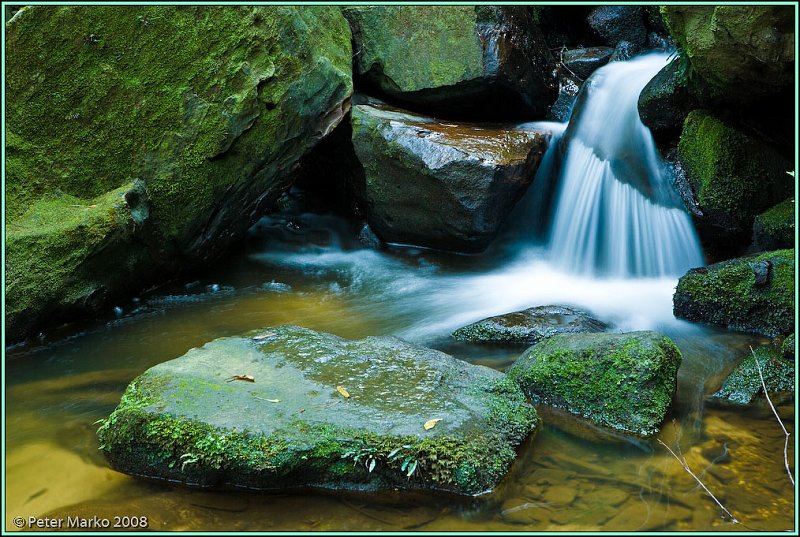 WV8X8928.jpg - Stream and moss, Blue Mountains, Australia.