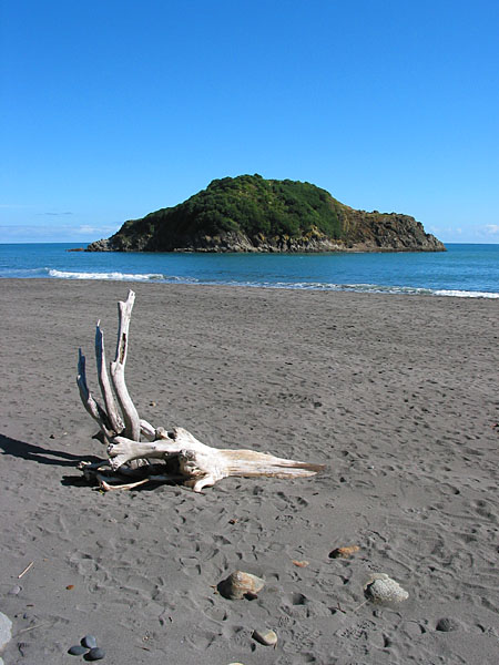 IMG_2490.jpg - Back Beach, New Plymouth, New Zealand