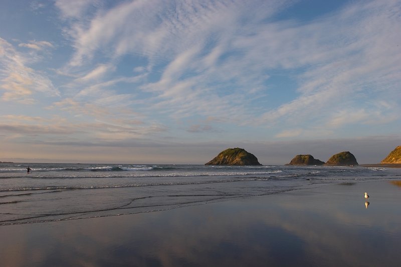 IMG_4336.jpg - Back Beach, New Plymouth, New Zealand
