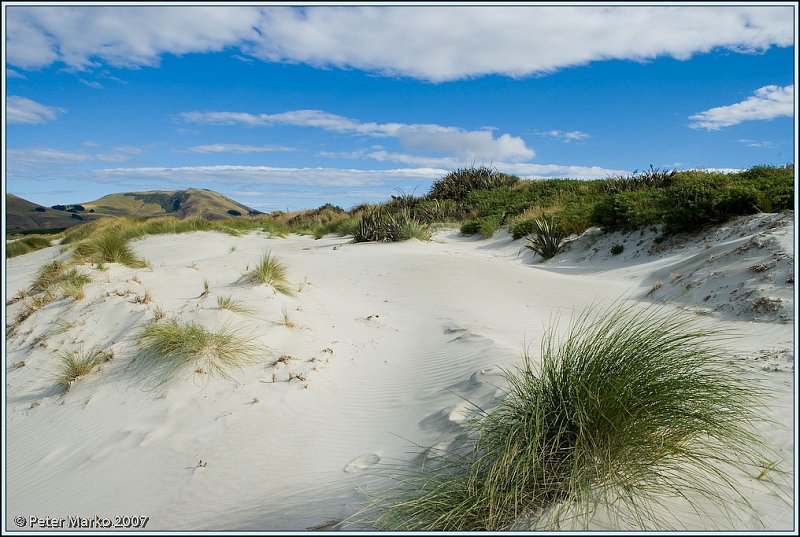 WV8X0325.jpg - Victory Beach, Okia Reserve, Otago Peninsula, New Zealand