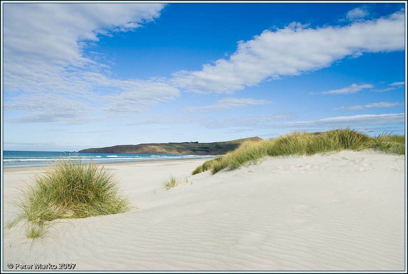 WV8X0336.jpg - Victory Beach, Okia Reserve, Otago Peninsula, New Zealand