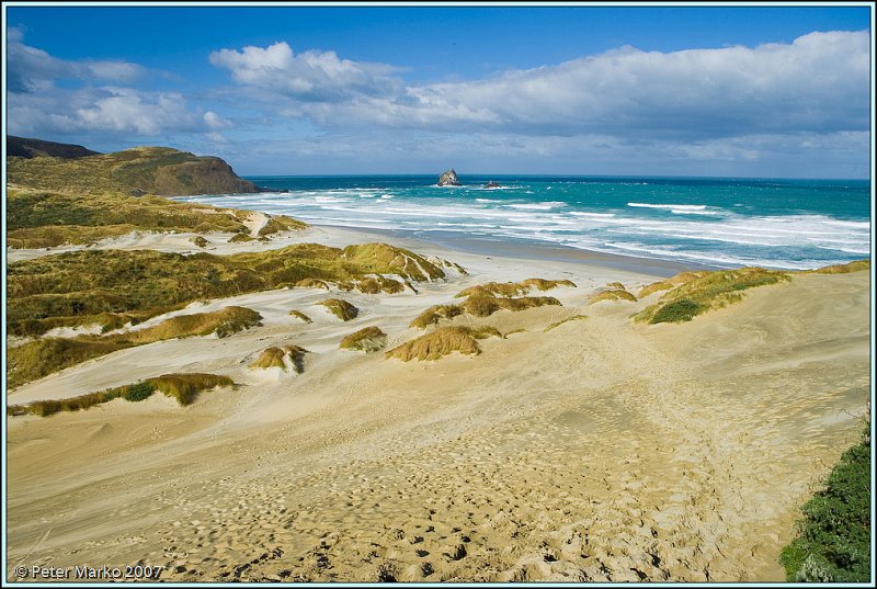 WV8X0638.jpg - Sandfly Beach, Otago Peninsula, New Zealand