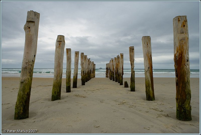 WV8X9866.jpg - St. Claire Beach, Dunedin, New Zealand