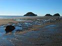 IMG_2312