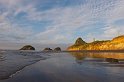 IMG_4334