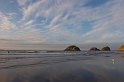 IMG_4336