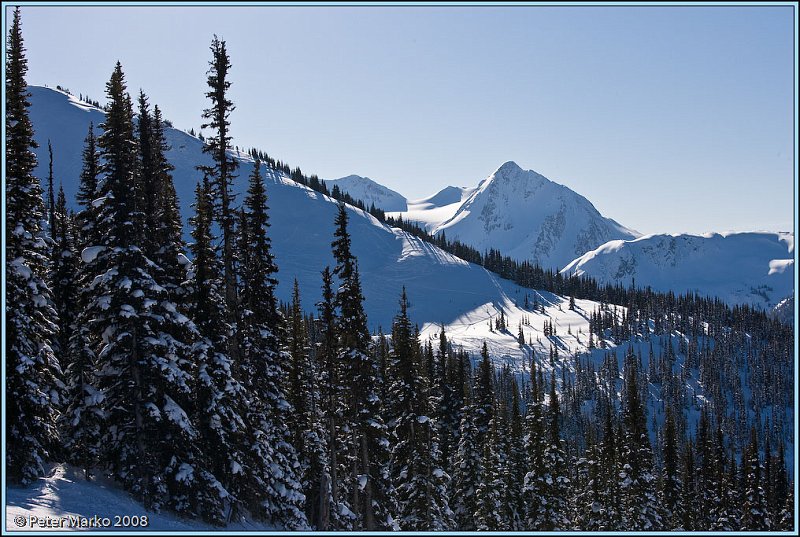 WV8X3892.jpg - Fresh snow,Whistler, Canada.