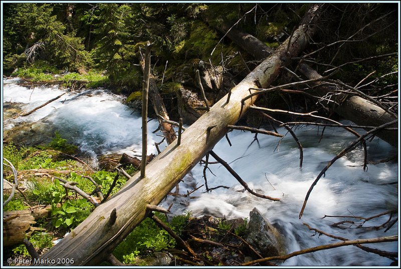 WV8X0275.jpg - Stream, Rohace, Slovakia, Europe