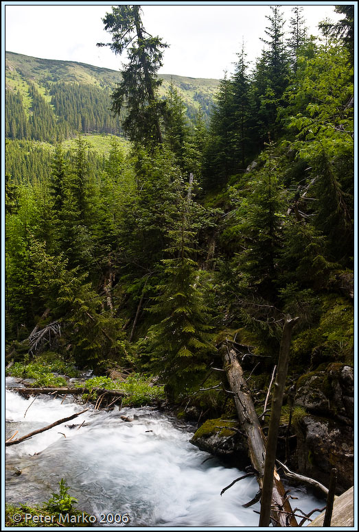 WV8X0279.jpg - Stream, Rohace, Slovakia, Europe