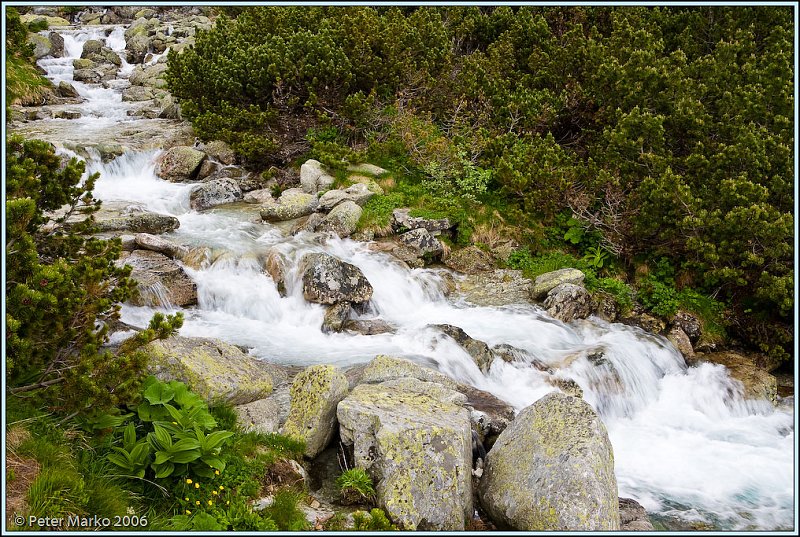 WV8X0899.jpg - Stream, Waterfall Skok, Strbske Pleso, High Tatras, Slovakia, Europe