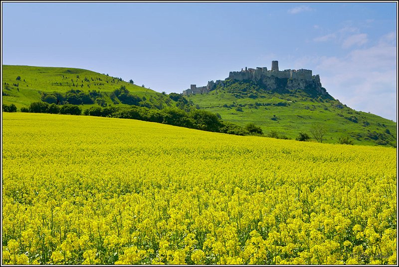 WV8X0715.jpg - Spisky Castle, Slovakia 2006