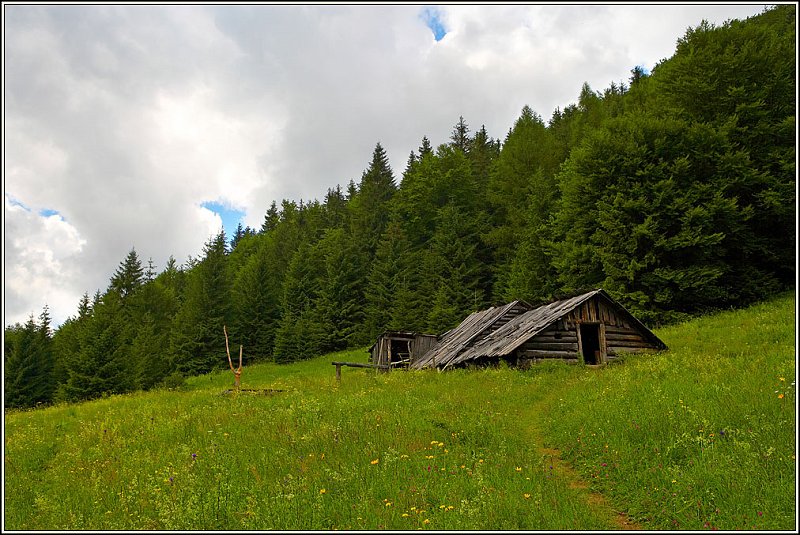 WV8X2398.jpg - Vratna Dolina, Slovakia