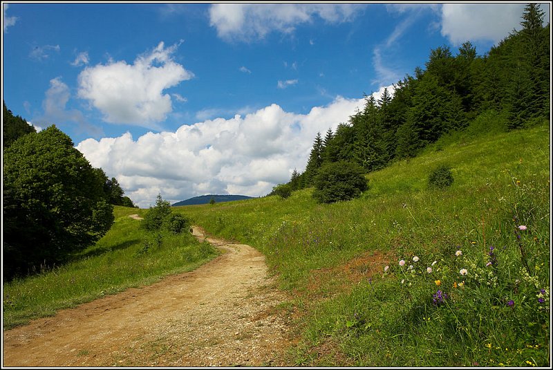 WV8X2475.jpg - Vratna Dolina, Slovakia