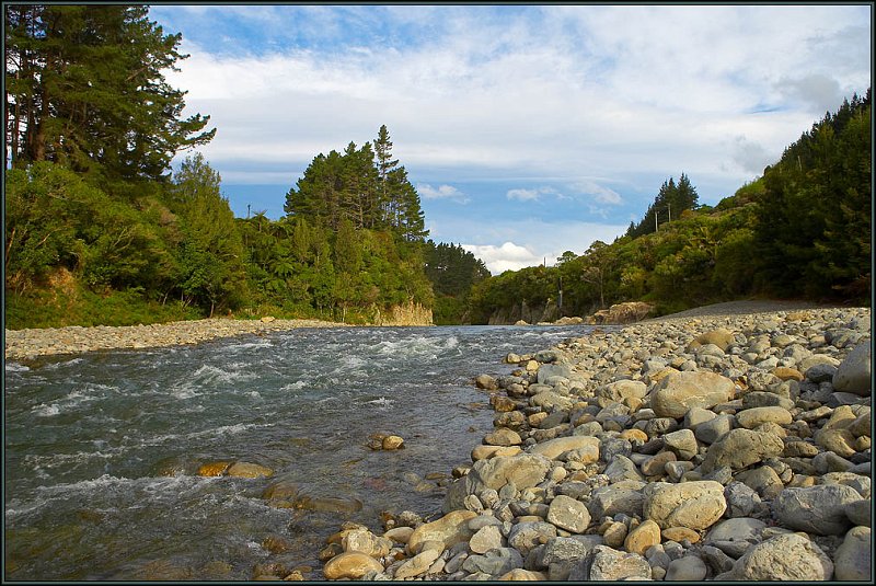 WV8X3964.jpg - RiverSlea Sanctuary, Otaki River, New Zealand