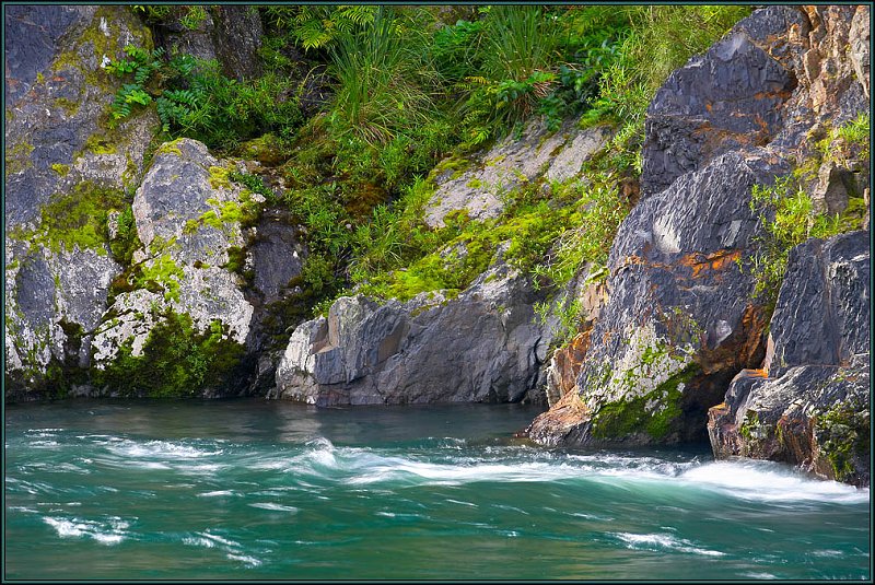 WV8X4009.jpg - RiverSlea Sanctuary, Otaki River, New Zealand