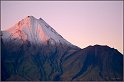 WV8X8407_1