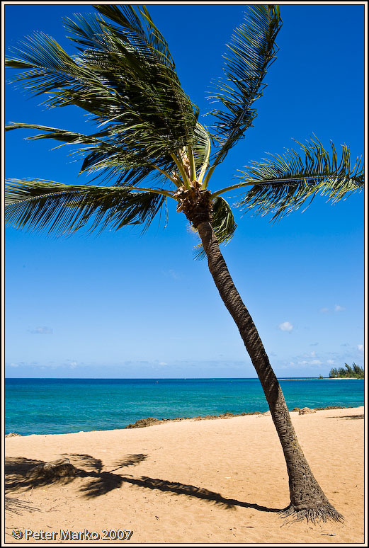 WV8X2783.jpg - Hale'iwa, North Shore, O'ahu, Hawaii