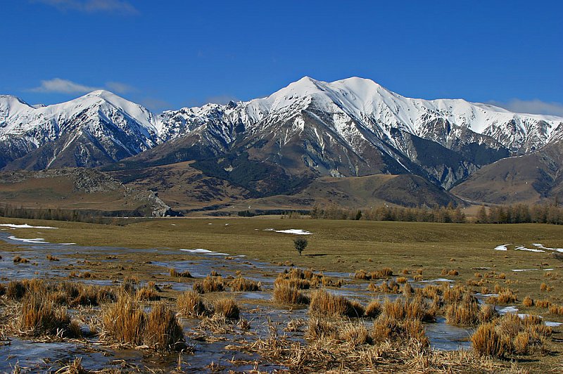 205_0579.jpg - Arthurs Pass, South Island, New Zealand