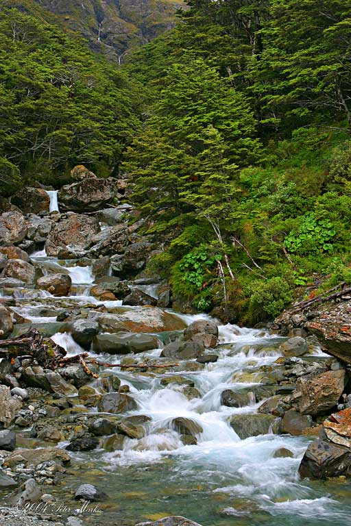 Arthurs_Pass_2.jpg - Arthurs Pass, South Island, New Zealand