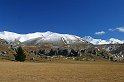 205_0572