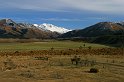 205_0582