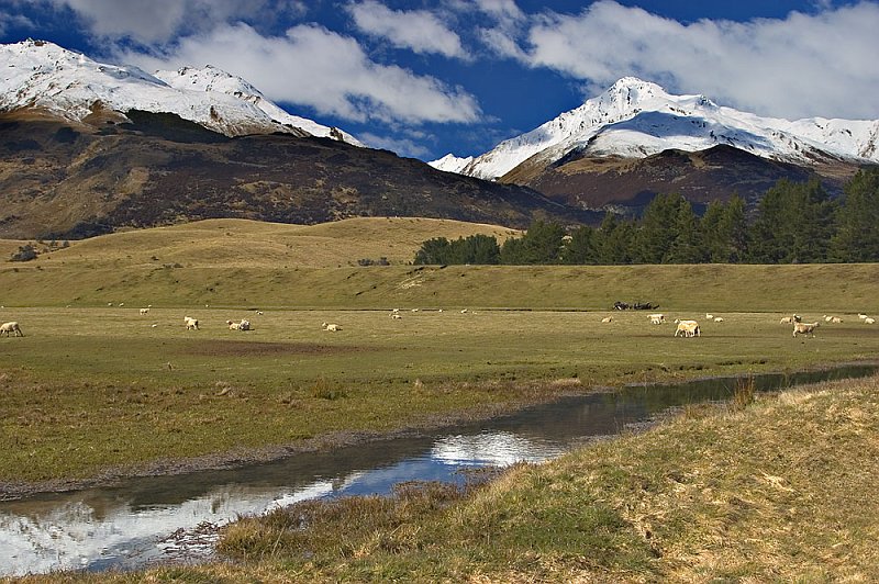208_0867.jpg - Glenorchy, South Island, New Zealand
