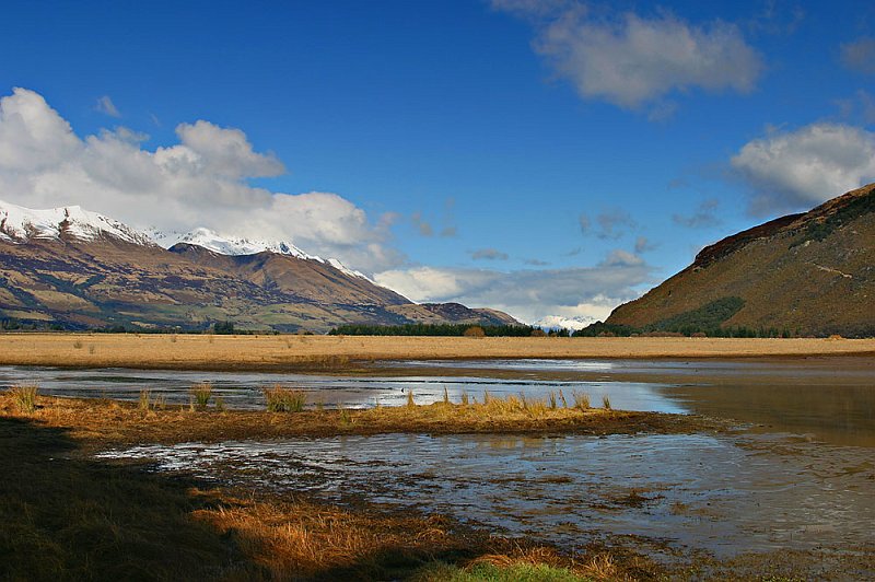 208_0883.jpg - Glenorchy, South Island, New Zealand