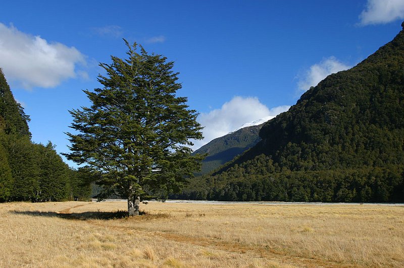 209_0935.jpg - Glenorchy, South Island, New Zealand