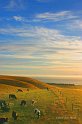 Kaikoura_01