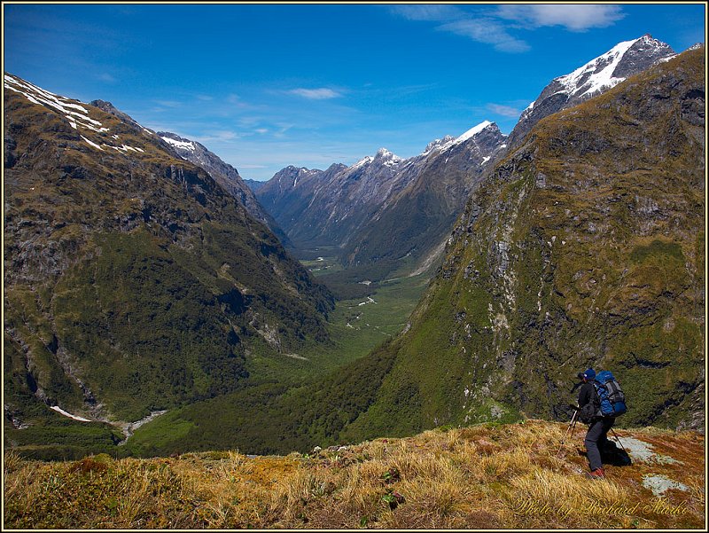 IMG_7032.jpg - Photographing Clinton Canyon, Mackinnon Pass, Milford Track, Fiordland National Park