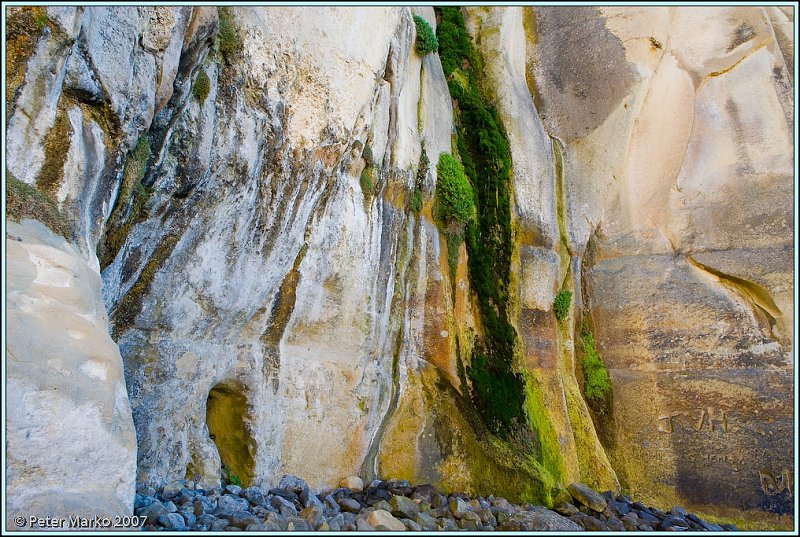 WV8X0186.jpg - Tunnel Beach, Otago Peninsula, New Zealand
