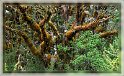 IMG_2733