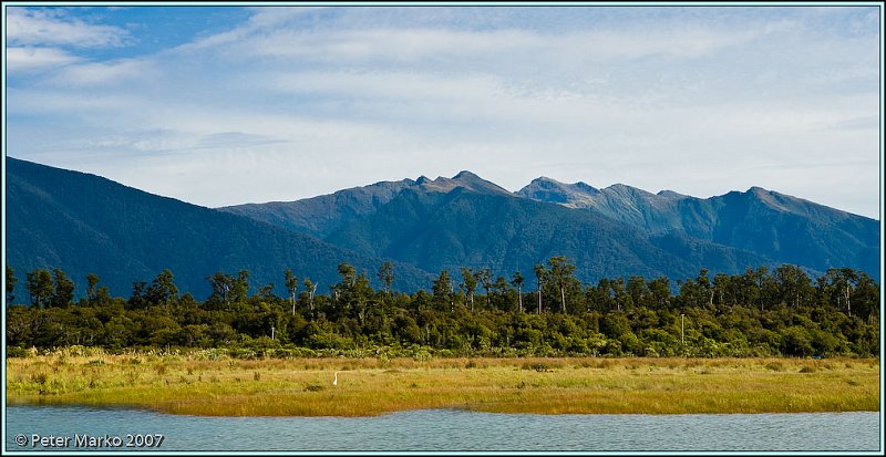 WV8X6852.jpg - White Heron, Waiatoto River, South Island, New Zealand