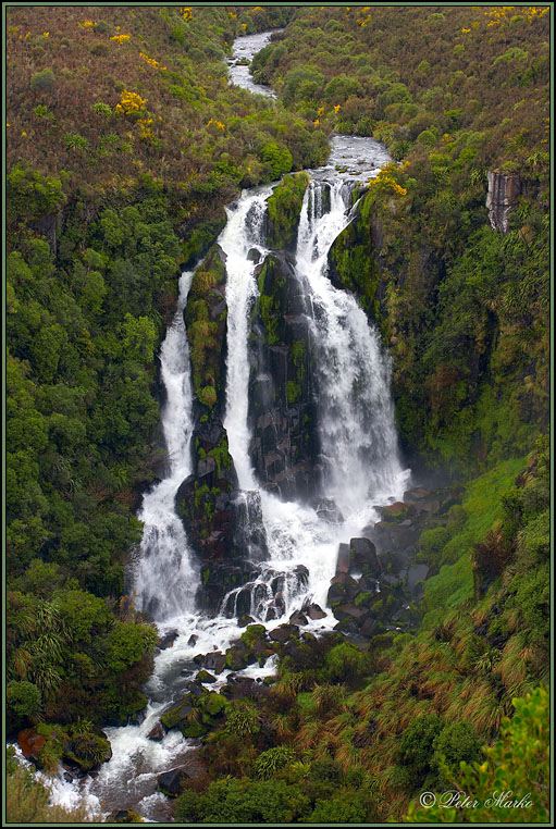 WV8X1893.jpg - Waterfalls along Highway 5, East Coast of North Island, New Zealand