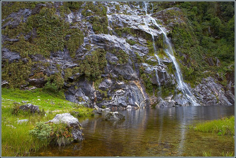 WV8X2832.jpg - Milford Track, Day 2, Fiordland National Park, New Zealand