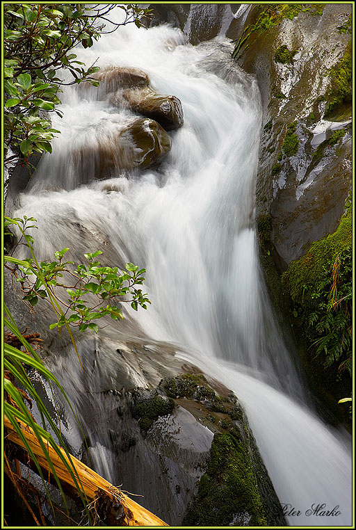WV8X2834.jpg - Stream, Dawson Falls, Egmont National Park, Mt. Taranaki, New Zealand