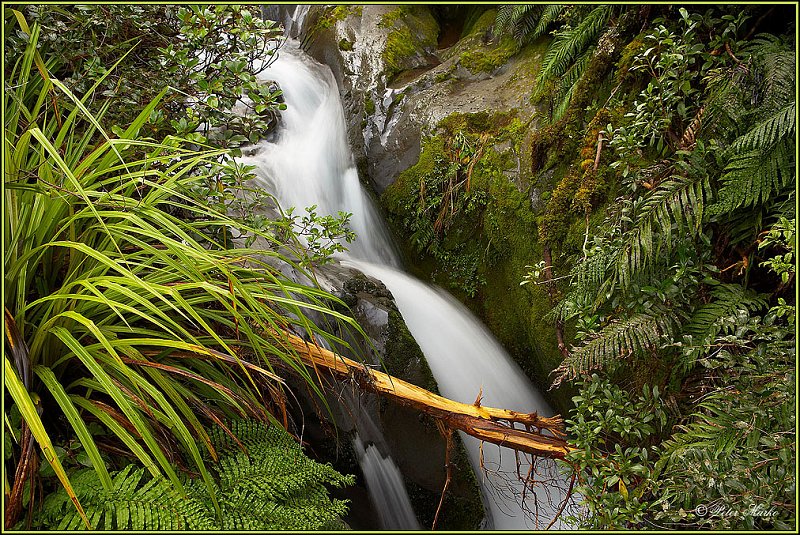WV8X2843.jpg - Stream, Dawson Falls, Egmont National Park, Mt. Taranaki, New Zealand