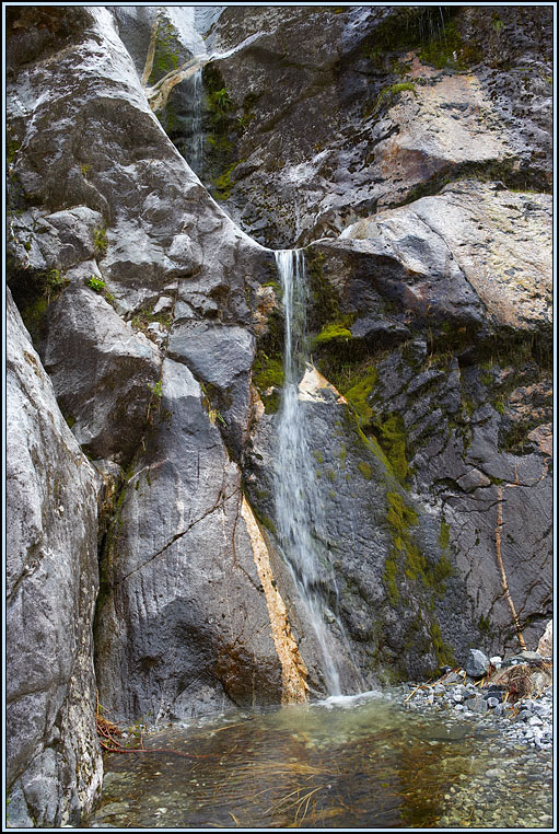 WV8X2846.jpg - Milford Track, Day 2, Fiordland National Park, New Zealand