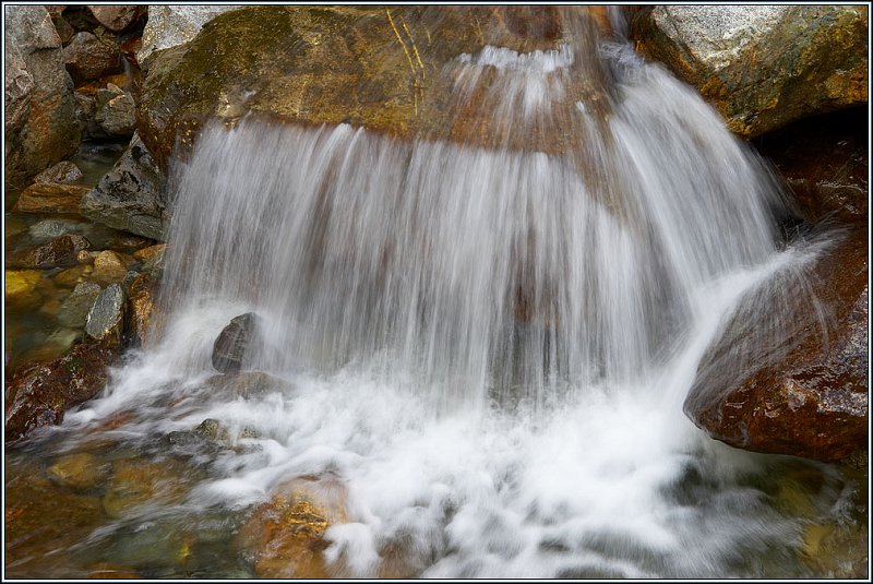 WV8X2872.jpg - Milford Track, Day 2, Fiordland National Park, New Zealand