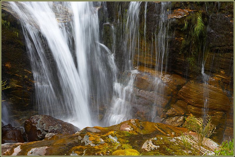 WV8X3041.jpg - Day 3 of Milford Track, Fiorland National Park, New Zealand